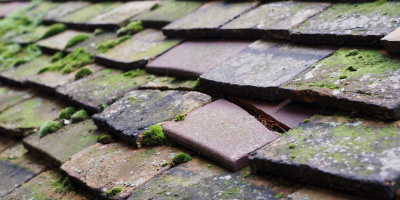 Worlds End roof repair costs